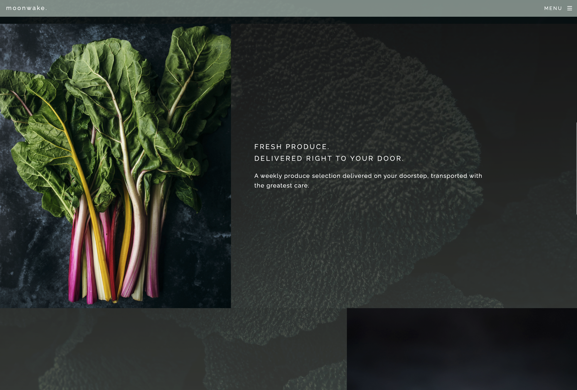preview to website